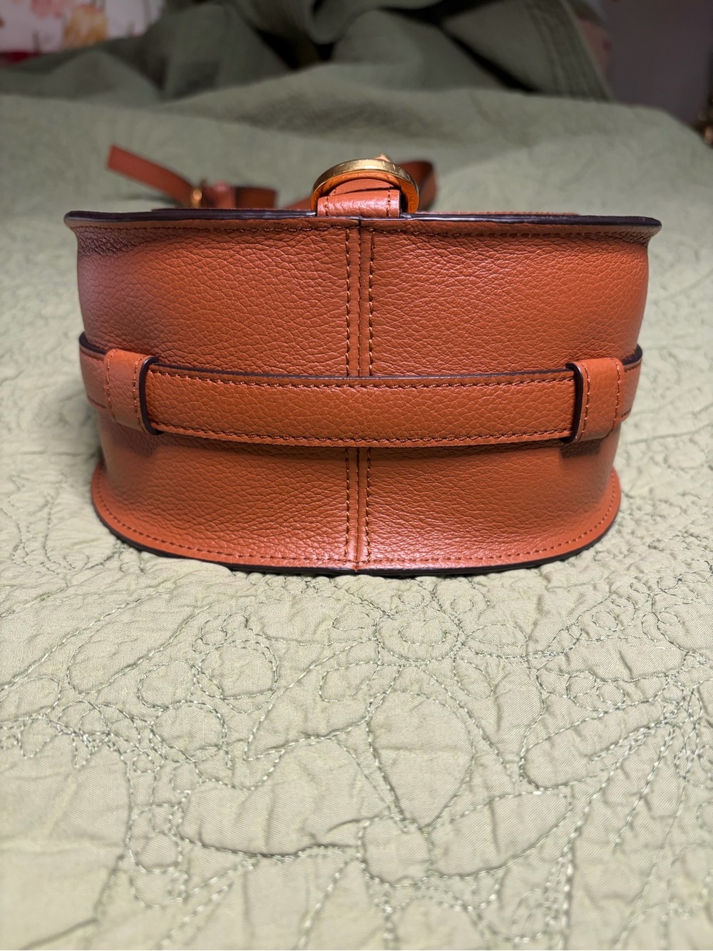 Chloe Tan Marcie Small Saddle Crossbody Bag NEW - Picture 4 of 10